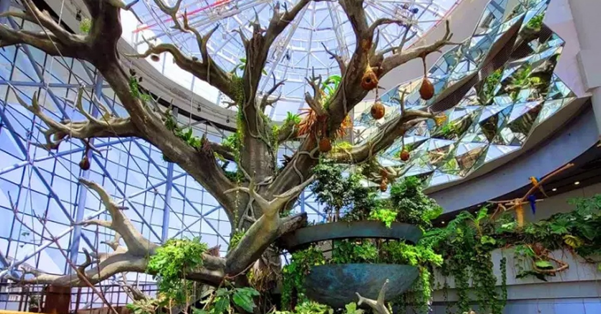 Skip The Line At The Green Planet Dubai: Tropical Rainforest Adventure Skip The Line At The Green Planet Dubai: Tropical Rainforest Adventure