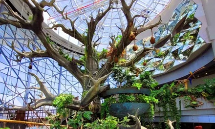 Green Planet Skip The Line Ticket - Child Access - Pax Holidays