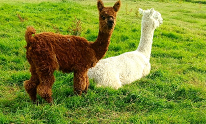 Image 2: Discover Fun with Forest/Farm School for Two or Four Children 