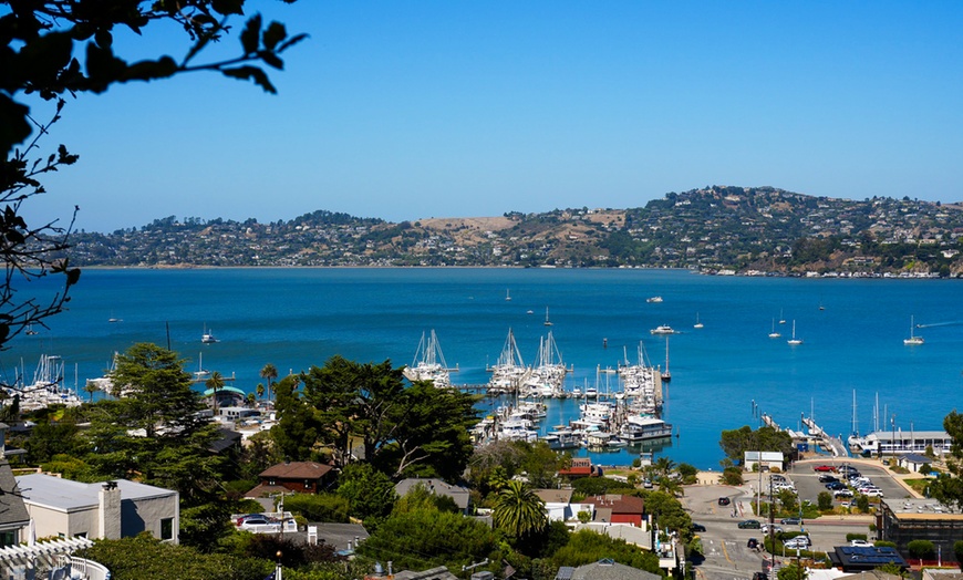 Image 47: Muir Woods & Sausalito Tour – San Francisco Bay Area