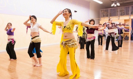 Single Drop-In Class - Nalini Dance