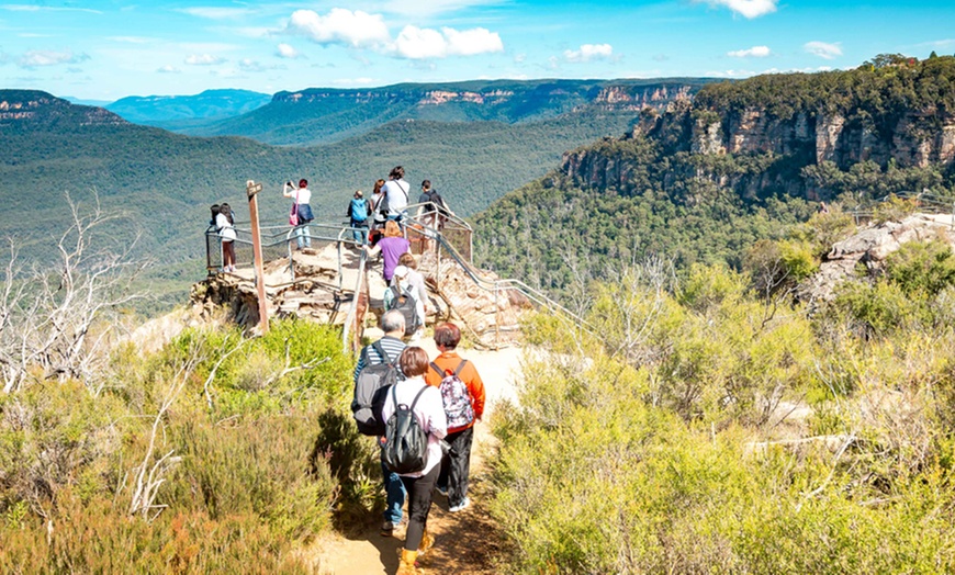 Image 5: Blue Mountains or Hunter Valley Tour: Wildlife, Wine & Scenic Wonders!