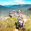 Image 5: Blue Mountains or Hunter Valley Tour: Wildlife, Wine & Scenic Wonders!