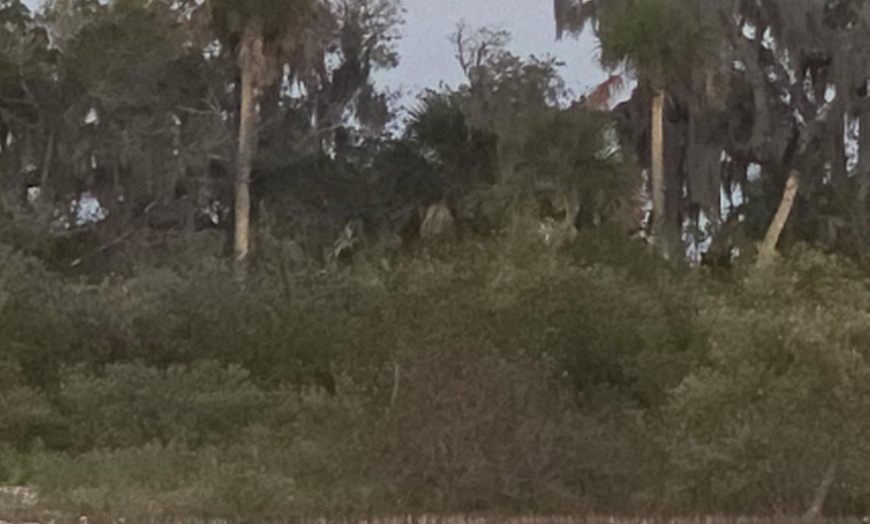 Image 9: Sunset Sightseeing & Eco History Cruises – Port Orange, FL
