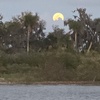 Image 9: Sunset Sightseeing & Eco History Cruises – Port Orange, FL