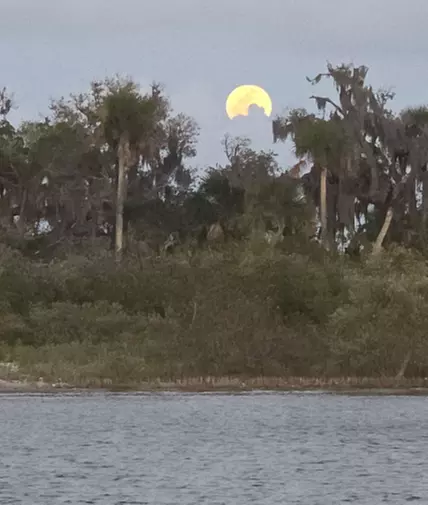 Sunset Sightseeing & Eco History Cruises – Port Orange, FL