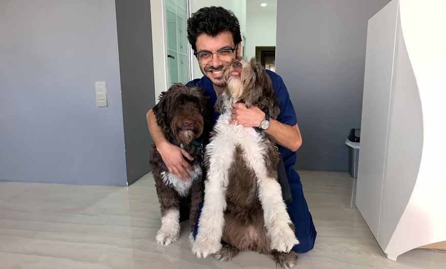 Image 1: Take Care of Your Pet: Vaccination or Preventive Care Package