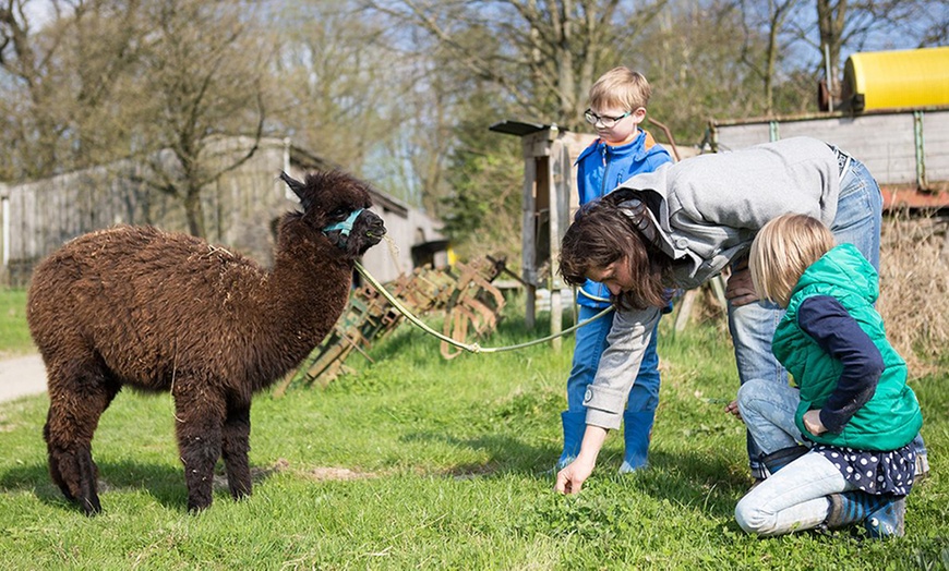 Image 6: Bis zu 3 Std. Alpaka-Wanderung für 2 Personen oder 1 Familie