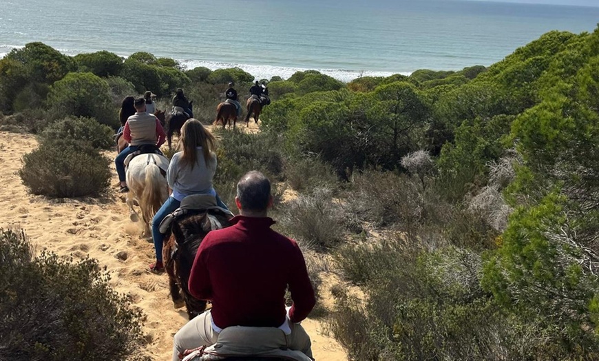 Image 7: Ruta relax a caballo por las Dunas de Doñana para 1 o 2 personas