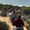 Image 7: Ruta relax a caballo por las Dunas de Doñana para 1 o 2 personas