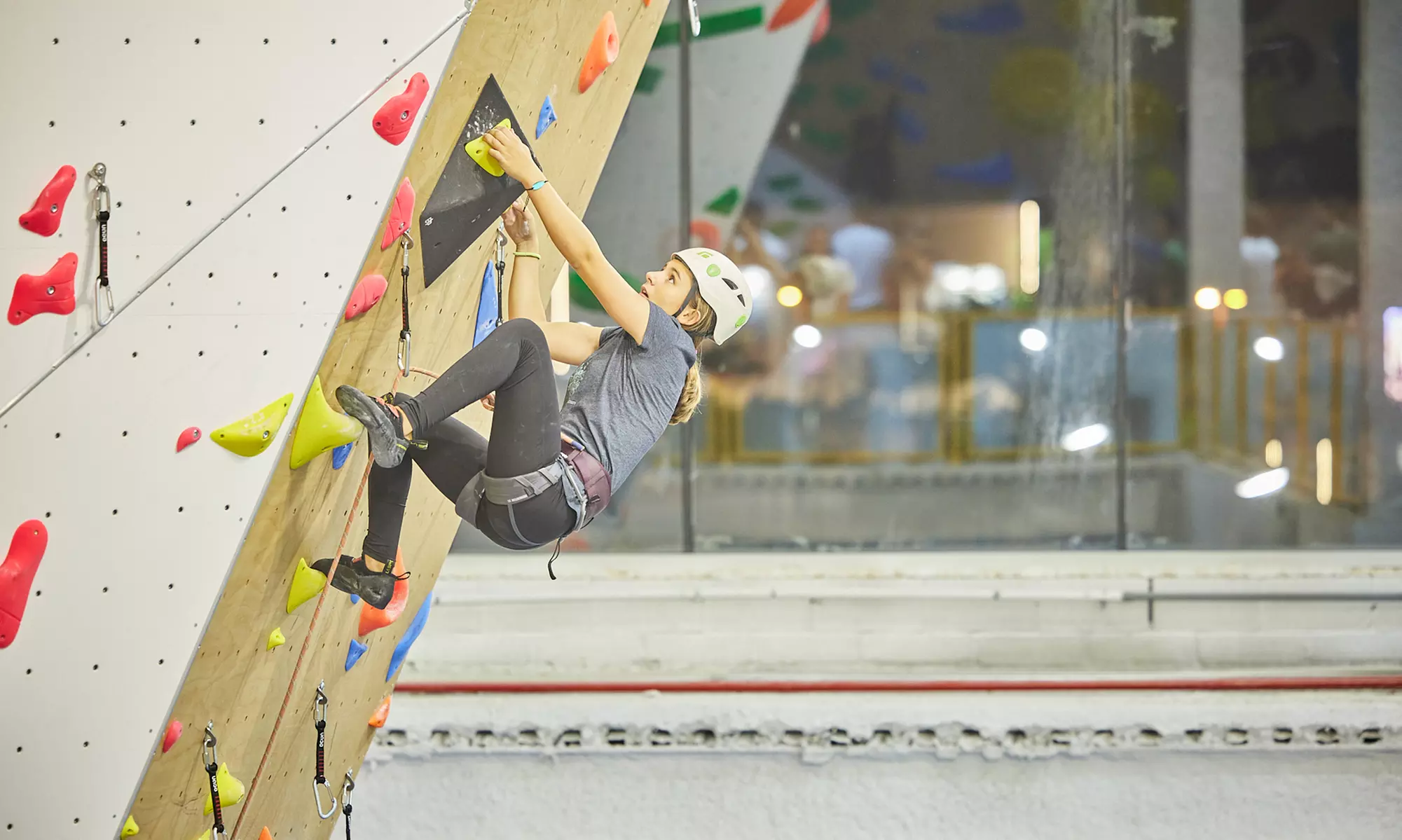 ¡Escala sin límites! Acceso libre a rocódromo para niños o adultos
