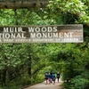 Image 3:  Explore and Enjoy Alcatraz + Muir Woods & Sausalito Tour for Up to 4