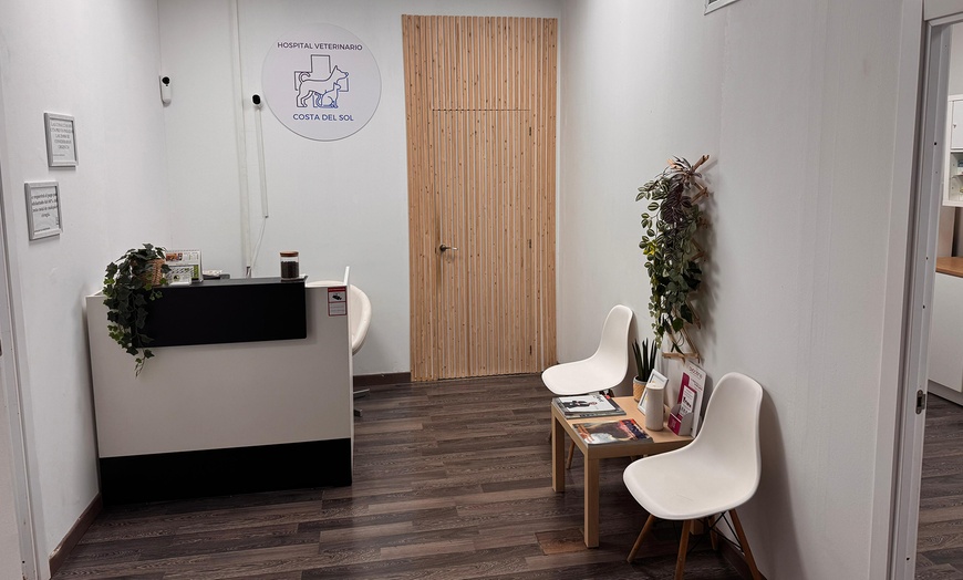 Image 4: ¡Cuida a tu mascota! Esterilización para perro macho, gato o gata 