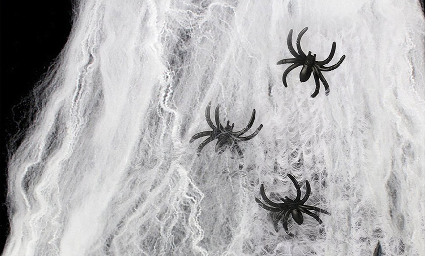 Image 1: Halloween Spider Webs with 10 Mini Spiders