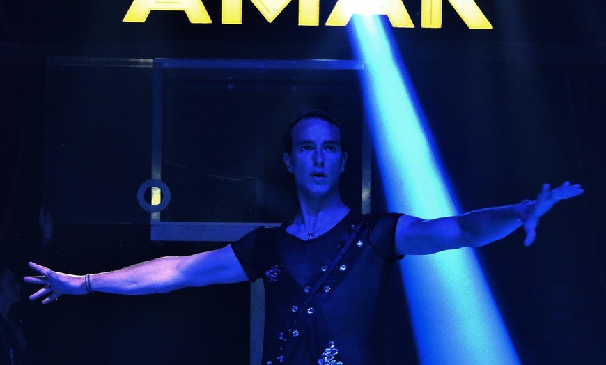 Image 7: Cirque Amar®, 100 ans d'émotions : le centenaire, de déc. à fev.