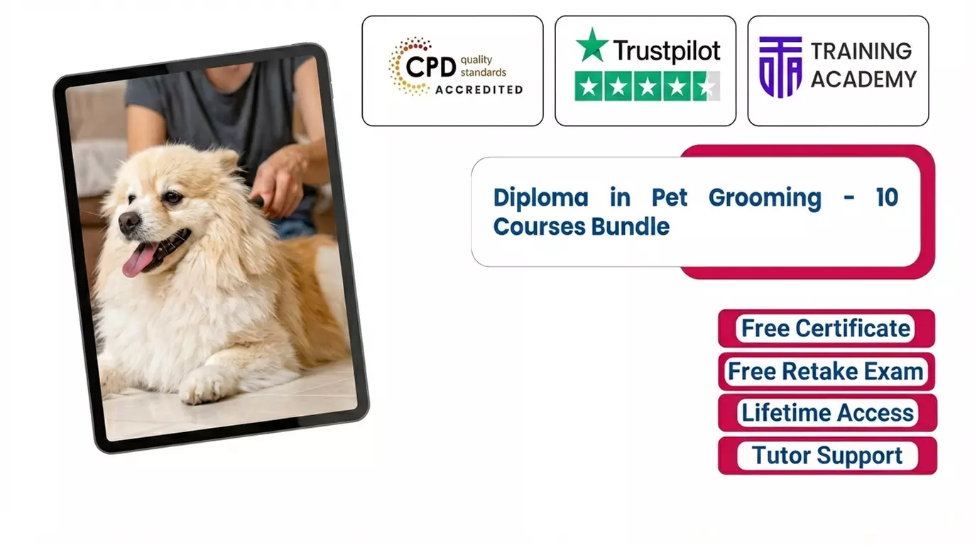 Master Pet Care & Grooming with a Professional Diploma Bundle & Lifetime Access - Up to 75% Off - Primary Image