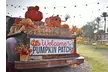 Pumpkin Fest at the Princess - Two GA Wristband Package - Up to 43% Off - Second Medium