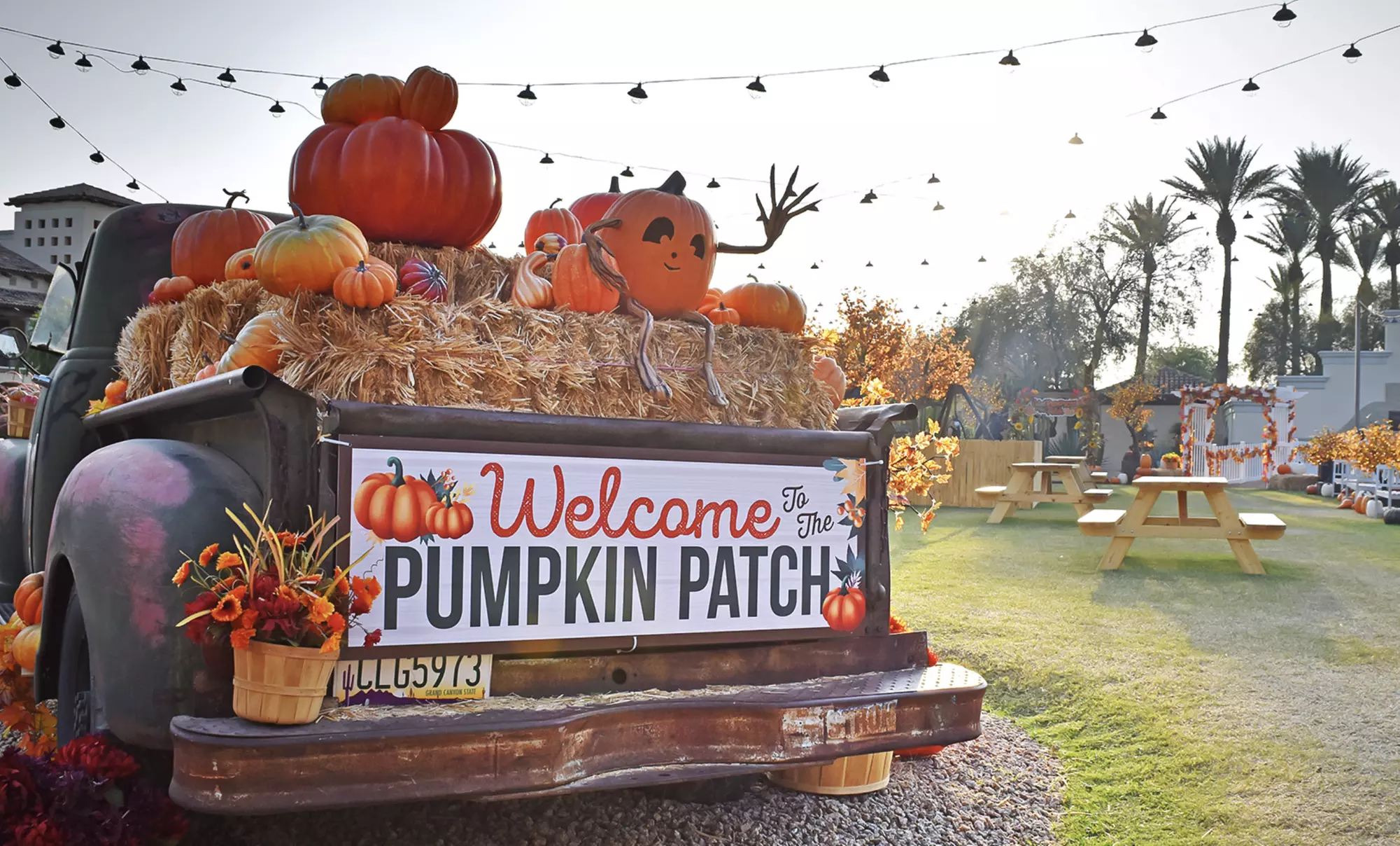 Pumpkin Fest at the Scottsdale Princess - Tickets on Sale Now!