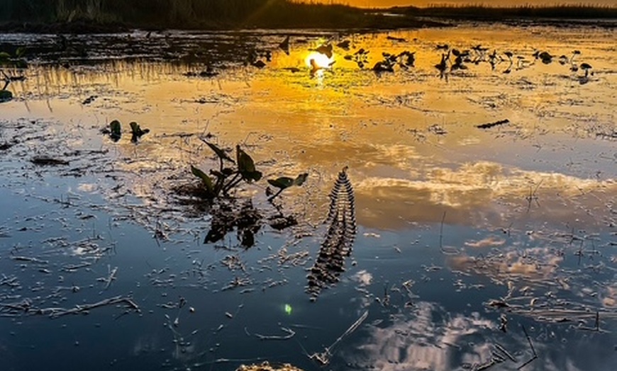 Image 9: Everglades Airboat Tour & Cultural Experience