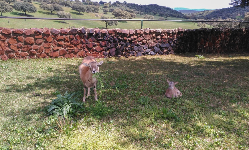 Image 17: Hasta 56% de dto. en CENTRO ANDALUZ DE LA FAUNA SALVAJE