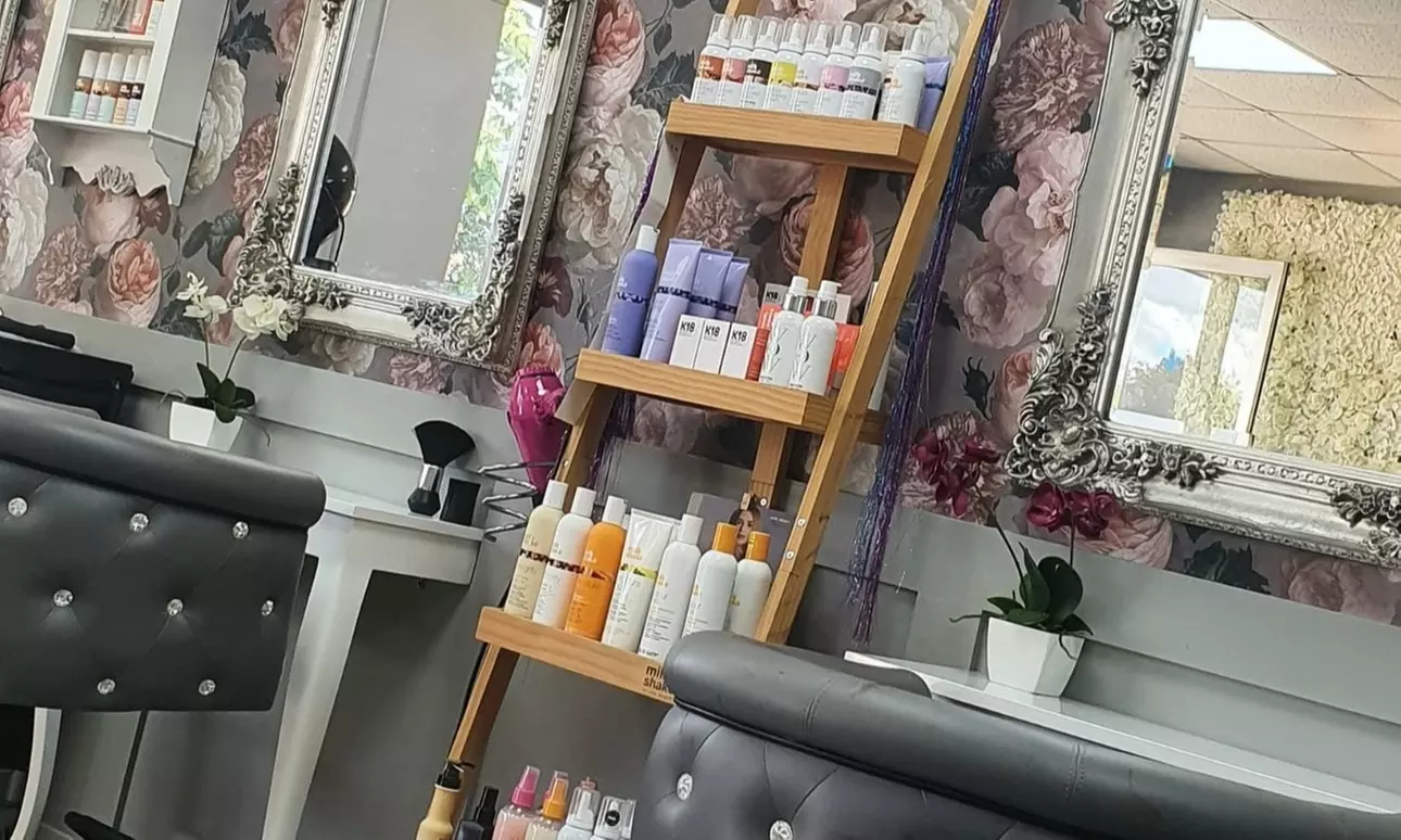 Up to 61% Off on Salon - Women's Haircut at Tangled Hair Salon