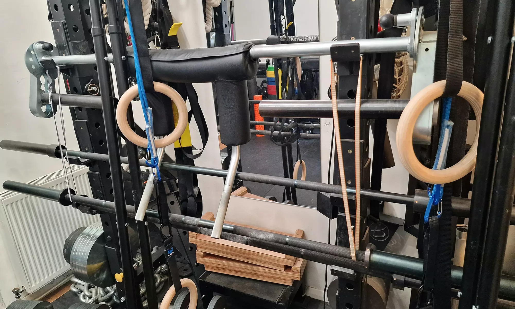 Up to 71% Off on Personal Trainer at Personal Training, Neuroscience, Posturology