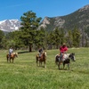 Image 3: Two-Hour Trail Ride - National Park Gateway Stables