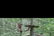 All-Day Adventure Pass to The Adventure Park at Discovery Museum - Second Medium