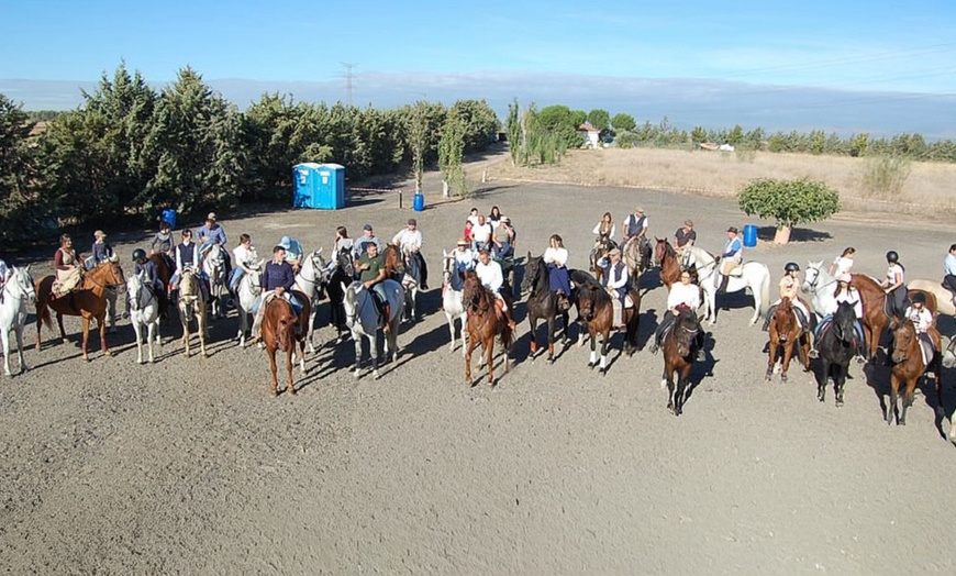 Image 1: Paseo a caballo de 1 hora por el Parque del Guadarrama con refresco