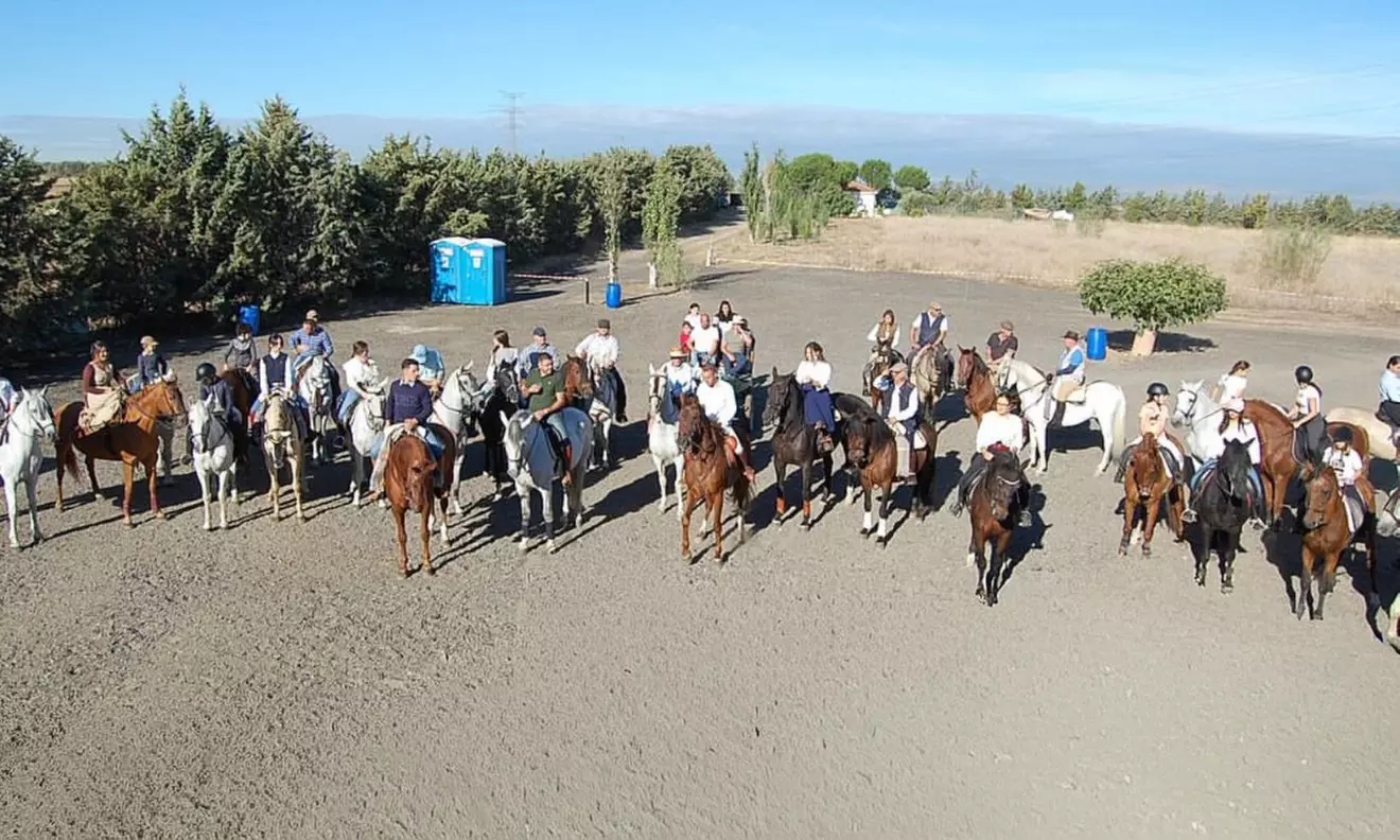 Paseo a caballo de 1 hora por el Parque del Guadarrama con refresco para 1, 2 o 4 personas, ahorra hasta un 38% - Primary Image