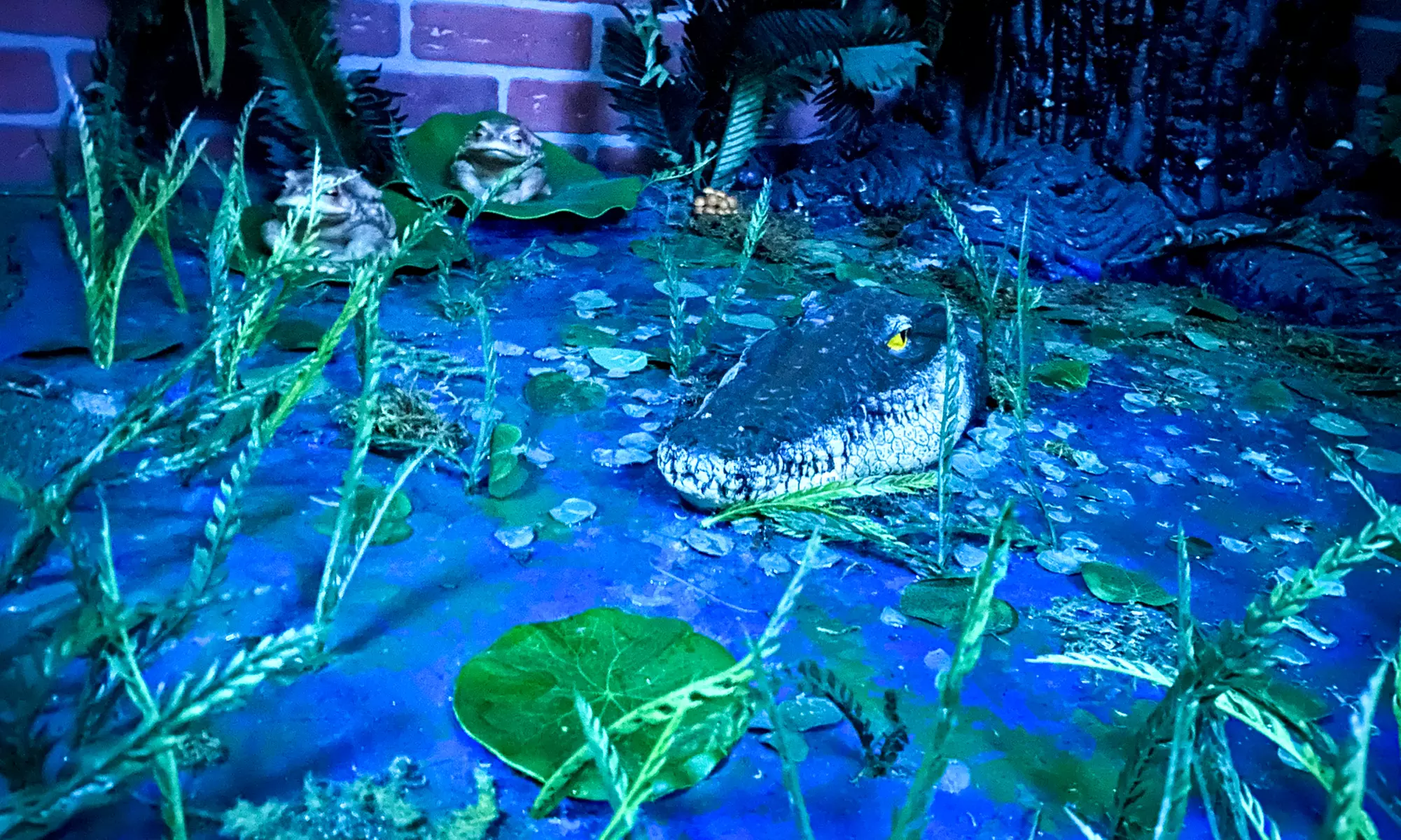 Choose Your Favorite Escape Room at Orange’s New Venue