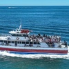 Image 1: 2-Hour Dolphin & Whale Watch on New Jersey’s Largest Whale Watch Boat