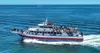 Jersey Shore Whale Watching Tours: Cruise in Jersey Girl with Dolphin, Shark & Whale Tours (Up to 30% Off)