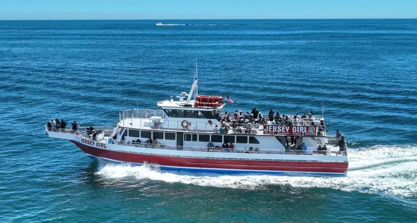 Jersey Girl Tour: 2-Hr Dolphin, Shark & Whale or 3-Hr Whale Watching
