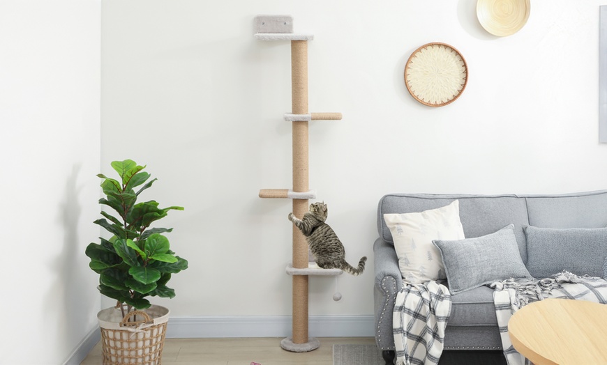 Image 4: Pawhut Wall-Mounted Cat Shelves with Four Climbing Platforms
