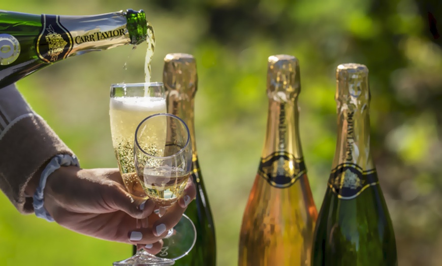 Image 1: Mid Summer Vineyard Tour, Wine Tasting and Ploughman's Meal