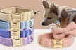 Flex your pet’s personality with comfortable and cool collars designed just for them! (Up to 71% off) - Second Medium