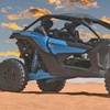 Image 3: Polaris 2- or 4-Seater or Canam Maverick Turbo 2-Seater Red Sand Tour