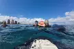 Glide Underwater: Exclusive SEABOB Snorkel Tours with FL Beach Adventures in Fort Lauderdale - Second Medium