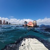 Image 7: Up to 41% Off SEABOB Snorkel Tours – Fort Lauderdale Beach
