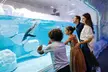 Dive into Wonder: Basic Entry or Ultimate Encounter for One, Two or Four Adults to World’s Largest Suspended Aquarium - Image 2
