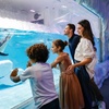 Image 2: Entry for 1, 2 or 4 Adults to World’s Largest Suspended Aquarium