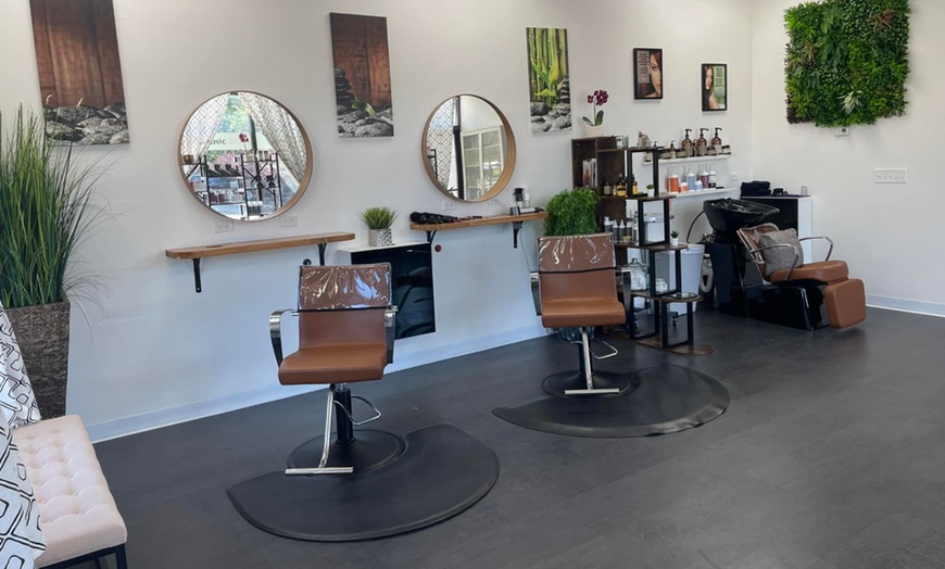 Image 4: Haircuts, Blow-Dry & Styling w/w/o Deep Conditioning and Highlights