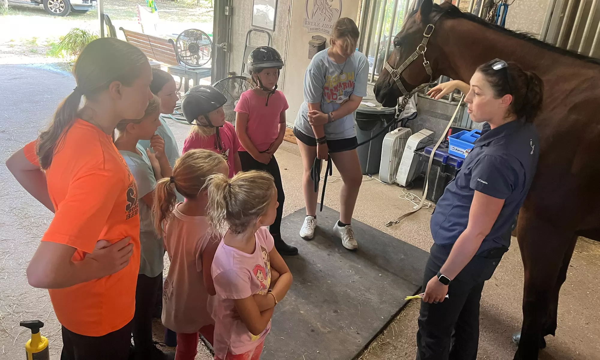 Dive Into Fun: Youth Summer Hearts and Hoofs Horse Camp Registration