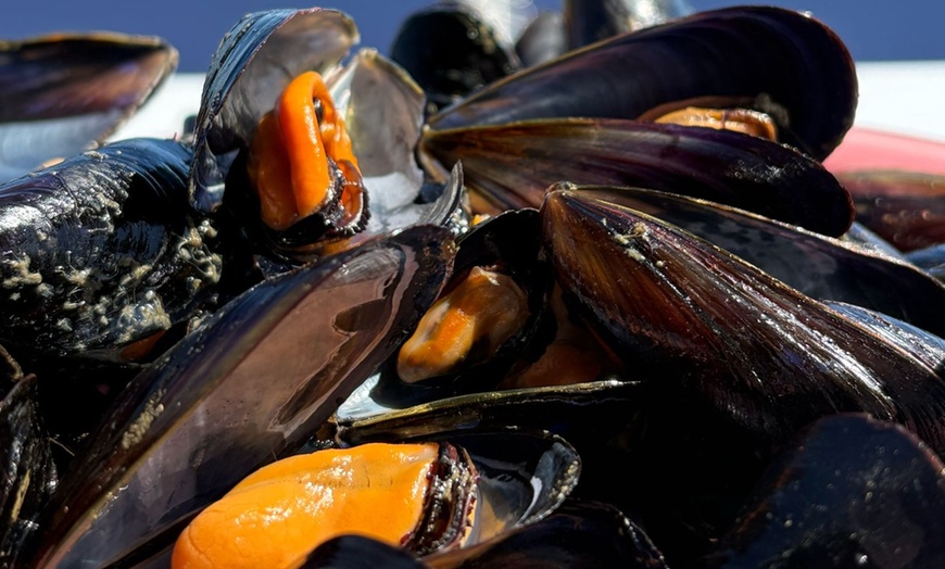 Image 2: Salida en catamarán con degustación de mejillones para niño o adulto