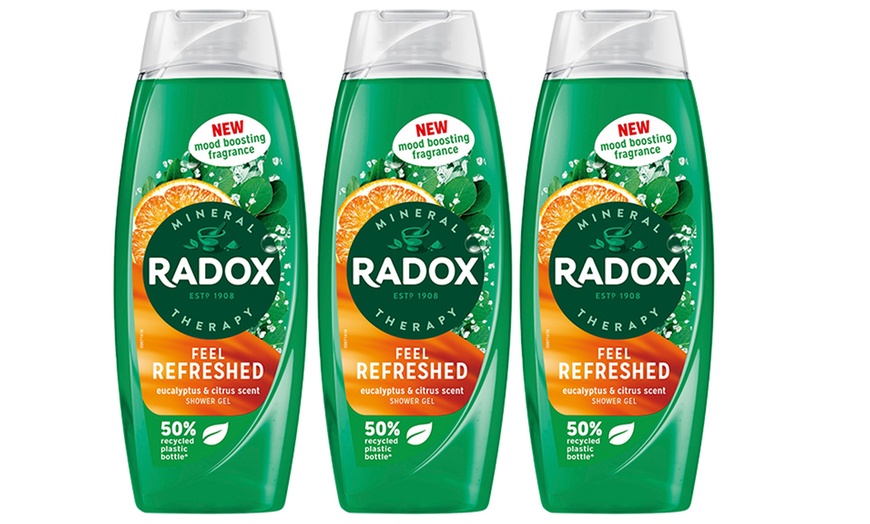 Image 7: Up to 12 Radox Shower Gels 450ml