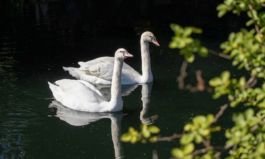 Image 2: Botanical Garden Admission in Williston, FL