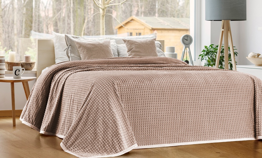 Image 3: Coperta flanellata