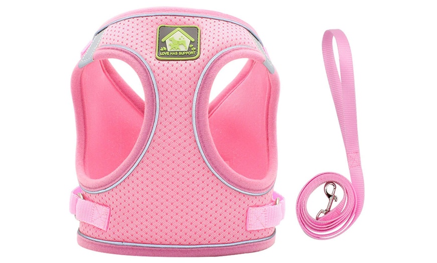 Image 12: Breathable Mesh Step-In Harness and Leash Set for Small Dogs