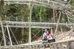Ride on the Blue Ridge Mountain Coaster at Jellystone Park™ Golden Valley through Nature! - Second Medium